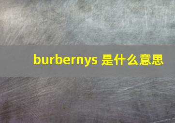 burbernys 是什么意思